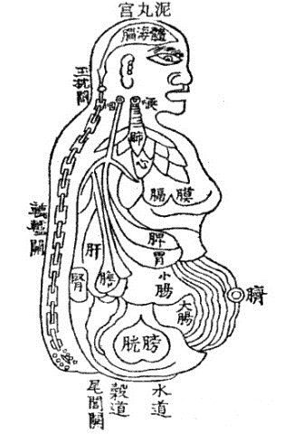 General Internal Medicine